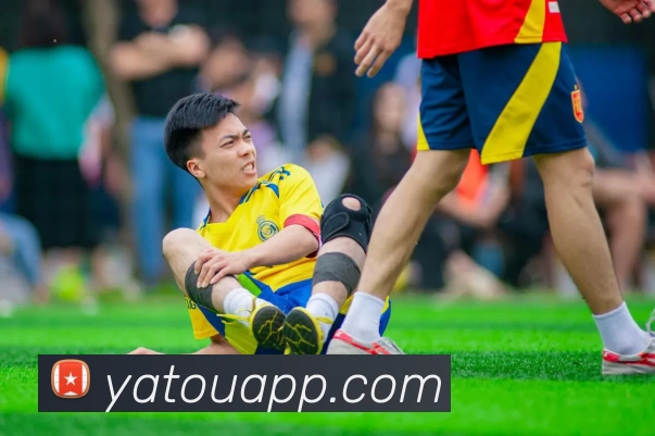 亚投app平台生态图